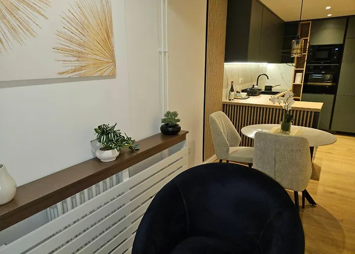 公寓 Ena 塞拉耶佛